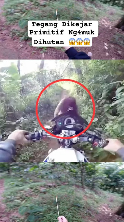 Tense Being Chased by Primitive Ng4muk in the Forest 😱 #motovlogindonesia #shorts #reels #fyp #ex...