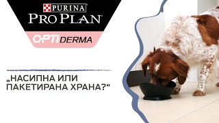 Насипна или пакетирана храна да изберем за своето куче или котка? Насипна или пакетирана храна да изберем за своето куче или котка?