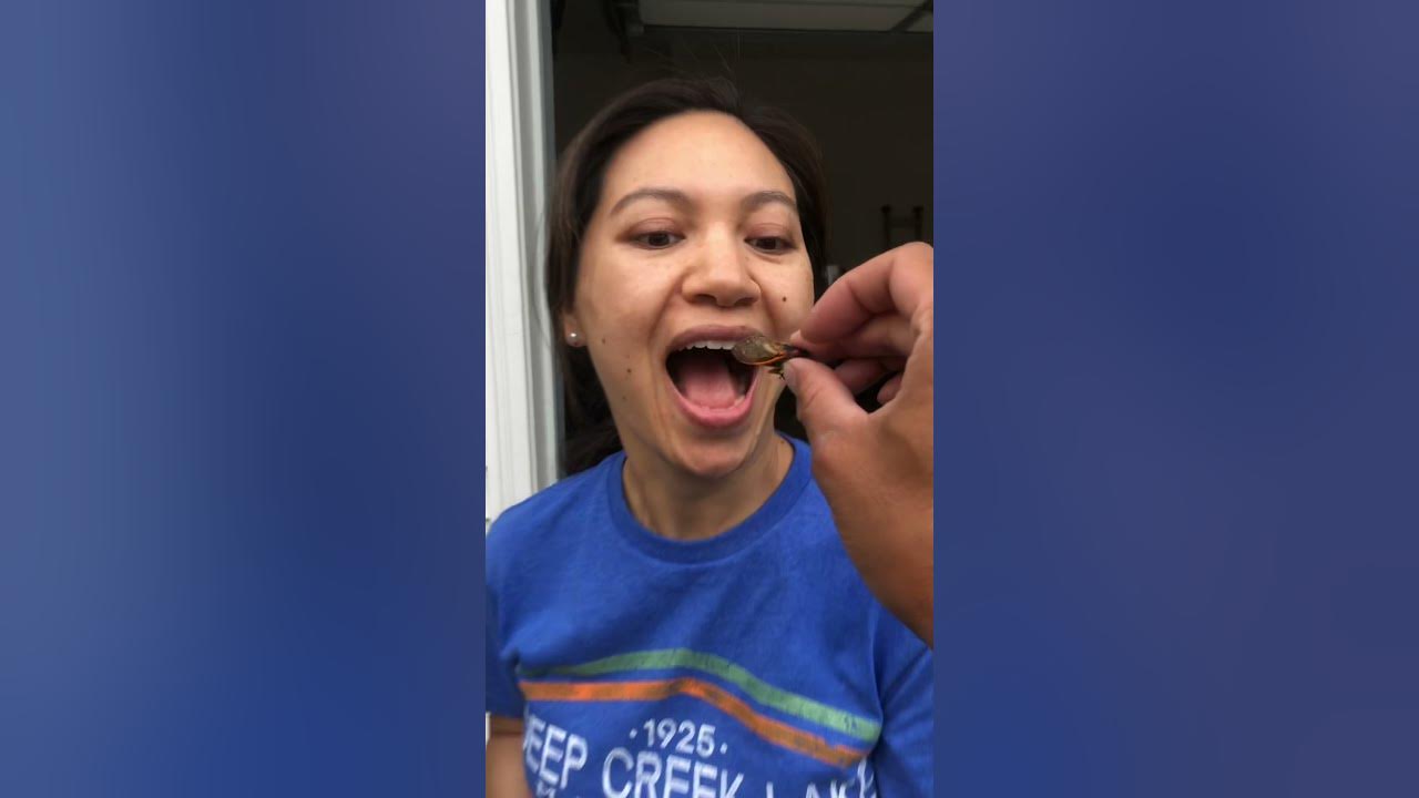 Cicadas are edible