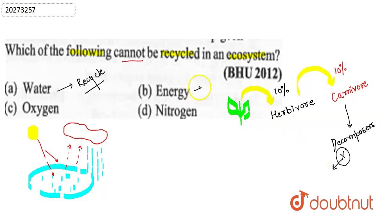 Which of the following cannot be recycled in an ecosystem? YouTube