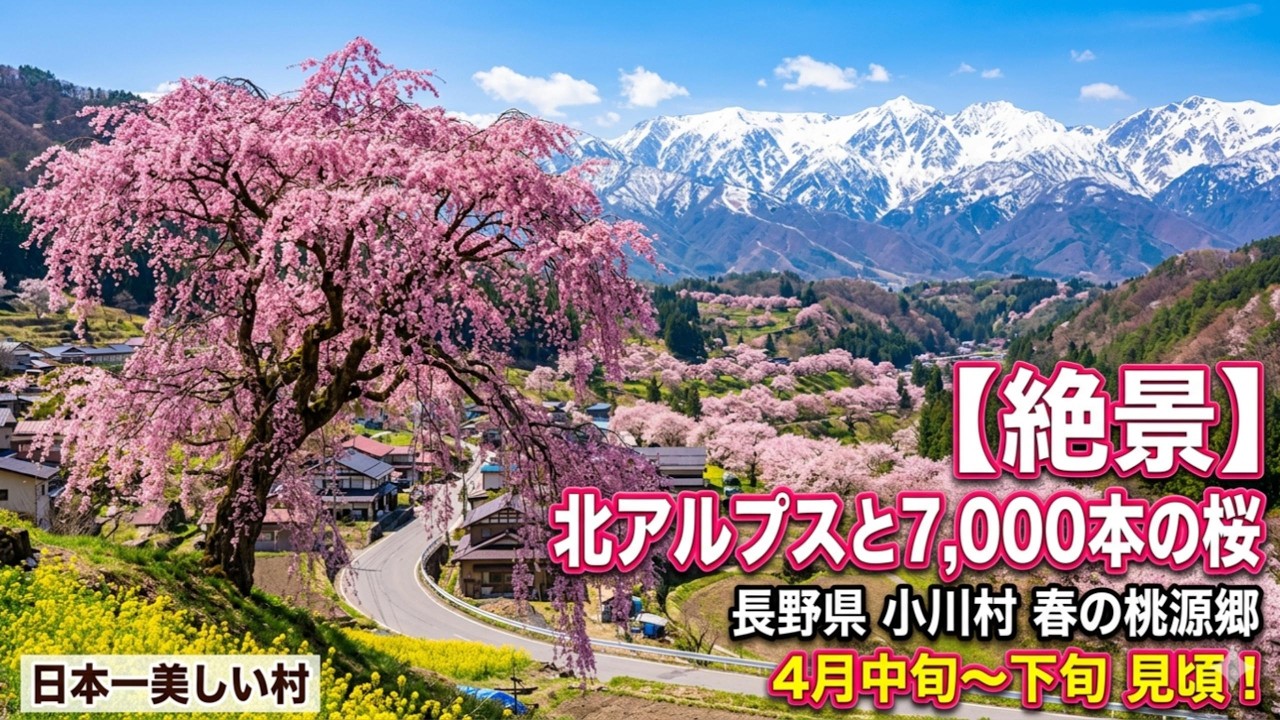 北アルプス絶景Drive Route 小川アルプスライン  