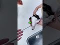 Dog Was On The Verge Of Drowning Until A Hero Stepped In