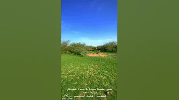 احمد يوسف 2 