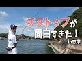 チヌの丸見えバイト！！！