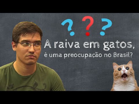 Vídeo: Como apresentar um novo filhote a um gato: 15 etapas