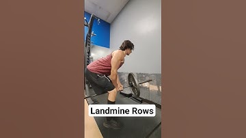 Landmine Rows #shorts #gym #muscle #back #backday #health #fitness #strong #shredded #gains