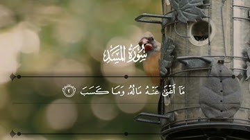 Surah Al-Masad || سورة المسد || With Urdu Translation, شيخ محمد جبريل @afifasaleem #tilawatequran