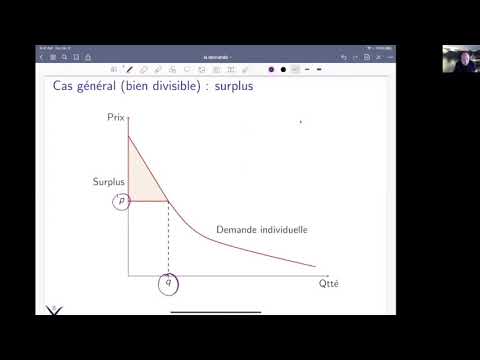 Consommateur, producteur 1 : La demande