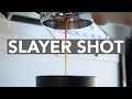 Espresso anatomy  the slayer shot