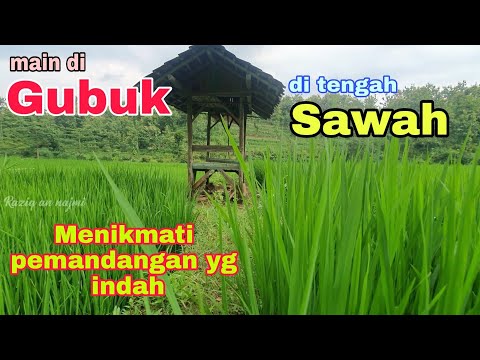 MAIN DI GUBUK SAWAH | Menikmati pemandangan yang indah | playing in the fields