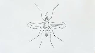 Cara menggambar nyamuk yang mudah dan gampang ditiru / How to draw Mosquito easily