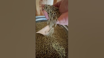 The REAL Reason We Raise Meat Rabbits #shorts