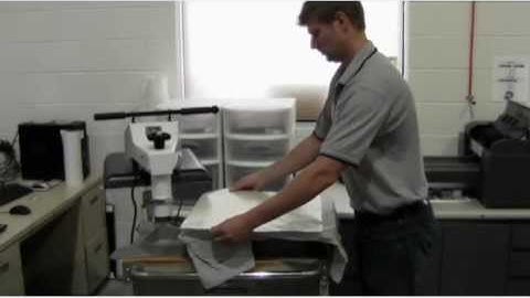 Creating Garment Transfers with Direct Color Systems