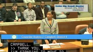 Boston City Council Meeting  March 30, 2016
