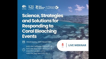 Science, Strategies, and Solutions for Responding to Coral Bleaching Events Webinar