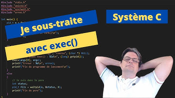 Programmation système en C : Fonctions exec() et system()