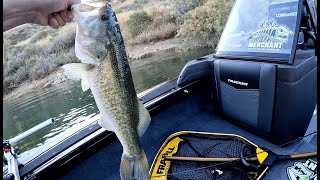 Castaic Lake Fishing Techniques for Bass