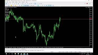 TTP PAMM accounts overview 26.01.2025