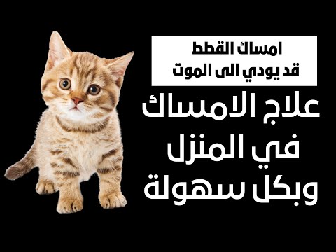 فيديو: أعراض اصابة كلب في الساق