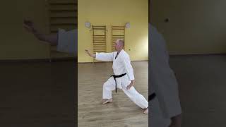 SHISOCHIN - kata stylu goju ryu.