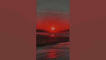 وَلَا تُخۡزِنِي يَوۡمَ يُبۡعَثُونَ - القارئ إدريس أبكر