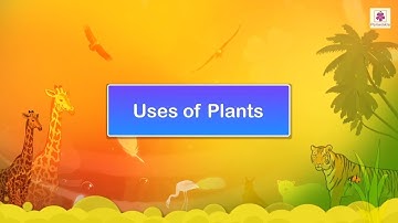 Uses of Plants | Science Video For Kids | Periwinkle