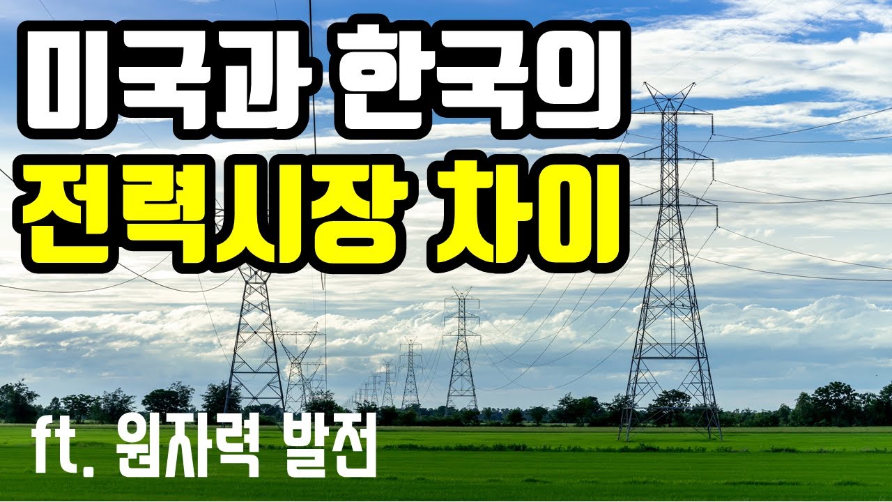 미국과 한국의 전력시장 차이 (ft. 원자력 발전에 관한 생각)