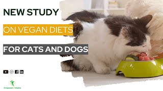New Study on Vegan Diets for Cats and Dogs | Vegan on a Budget