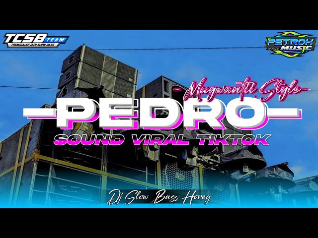 DJ SOUND PEDRO PEDRO PE VIRAL TIKTOK ‼️ || FULL BASS GLERITY UNTUK CEK SOUND|| PETROK MUSIC OFFICIAL class=