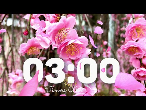 🌸 Cherry Blossom 3-Minute Timer with Relaxing Music | Peaceful Countdown for Focus & Calm 🌿🎶