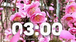 🌸 Cherry Blossom 3-Minute Timer with Relaxing Music | Peaceful Countdown for Focus & Calm 🌿🎶