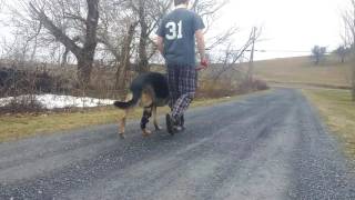 Axel walking with posh knee brace