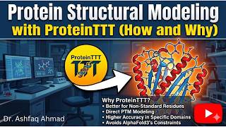 How and Why to Perform Protein Structural Modeling With ProteinTTT (Test-Time Training)?