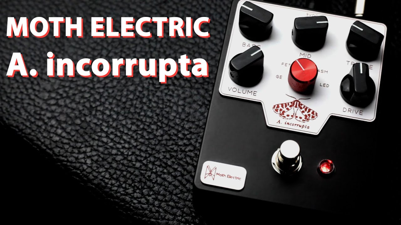 Moth Electric A. incorrupta Distortion Pedal