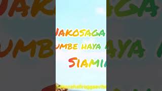 Last Chance bongo   motivation love