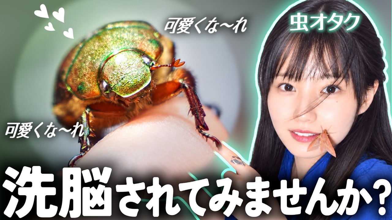 Brainwashed by an Insect Nerd: How I Learned to Love Bugs - YouTube