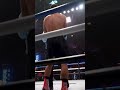 Picture Perfect Punch 👊