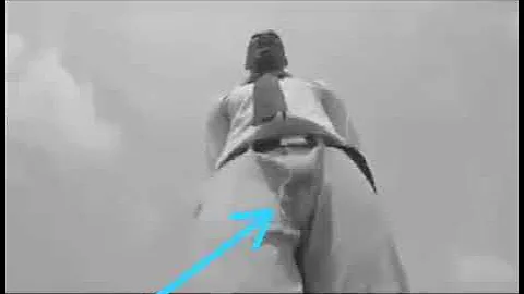 Dont Follow your leader blindly. funny video