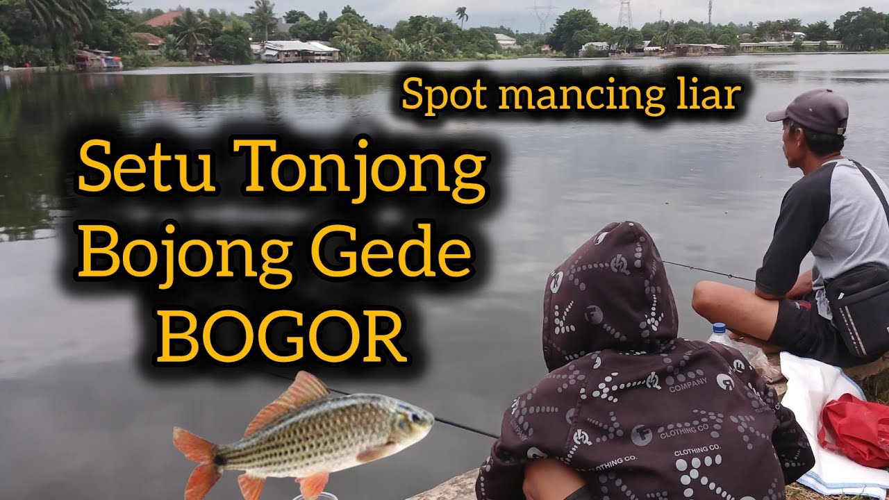 SPOT MANCING LIAR SETU TONJONG BOJONG GEDE  BOGOR