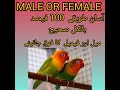 fisher male female difference | fisher bird male female difference