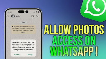 Allow Photo Access on WhatsApp on iPhone || Tech Wash