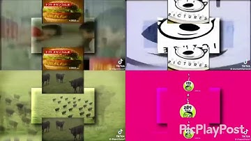 Ytpmv scan quadparison 1