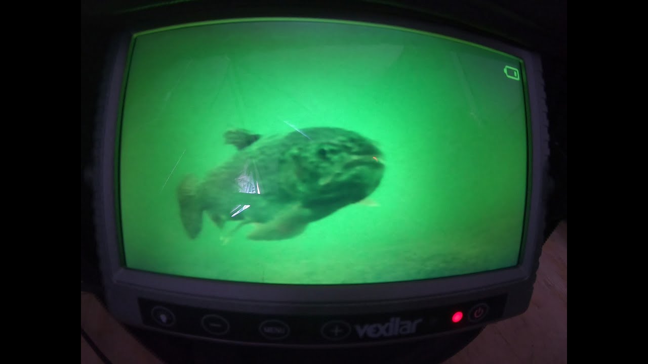 Underwater fish footage with the Vexilar Fish Scout FS800 IR YouTube
