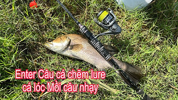Câu Cá Lóc Lure Cá Chẽm P1/ Câu Cá Lóc Lure Mồi Lure Cá Chẽm Cá Lóc Nhạy Nhất  Đồ Câu Đại Ngáo