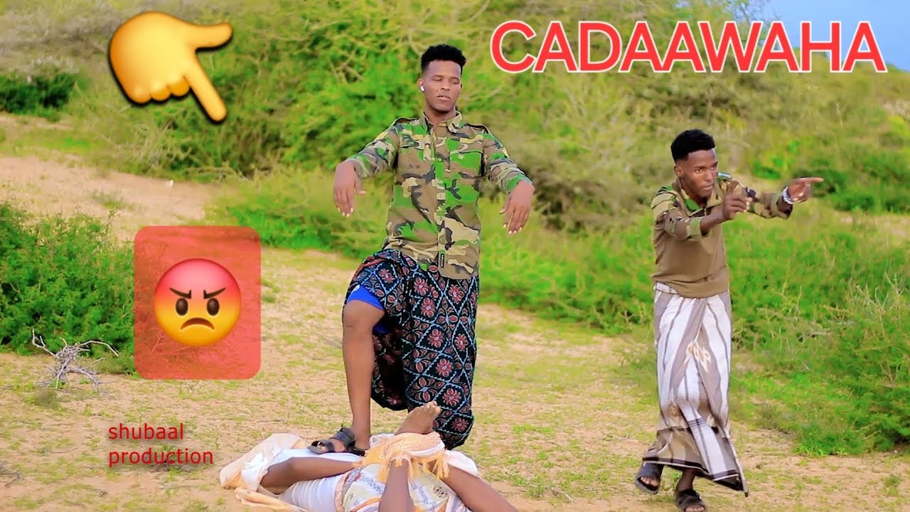 Waa dhaantadi xawadle Abwaan shaciye #2025 #dhaantocusub creator creator insight 2025 viral sound