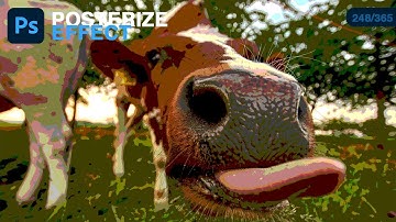 Posterize Adjustment Layer in Photoshop