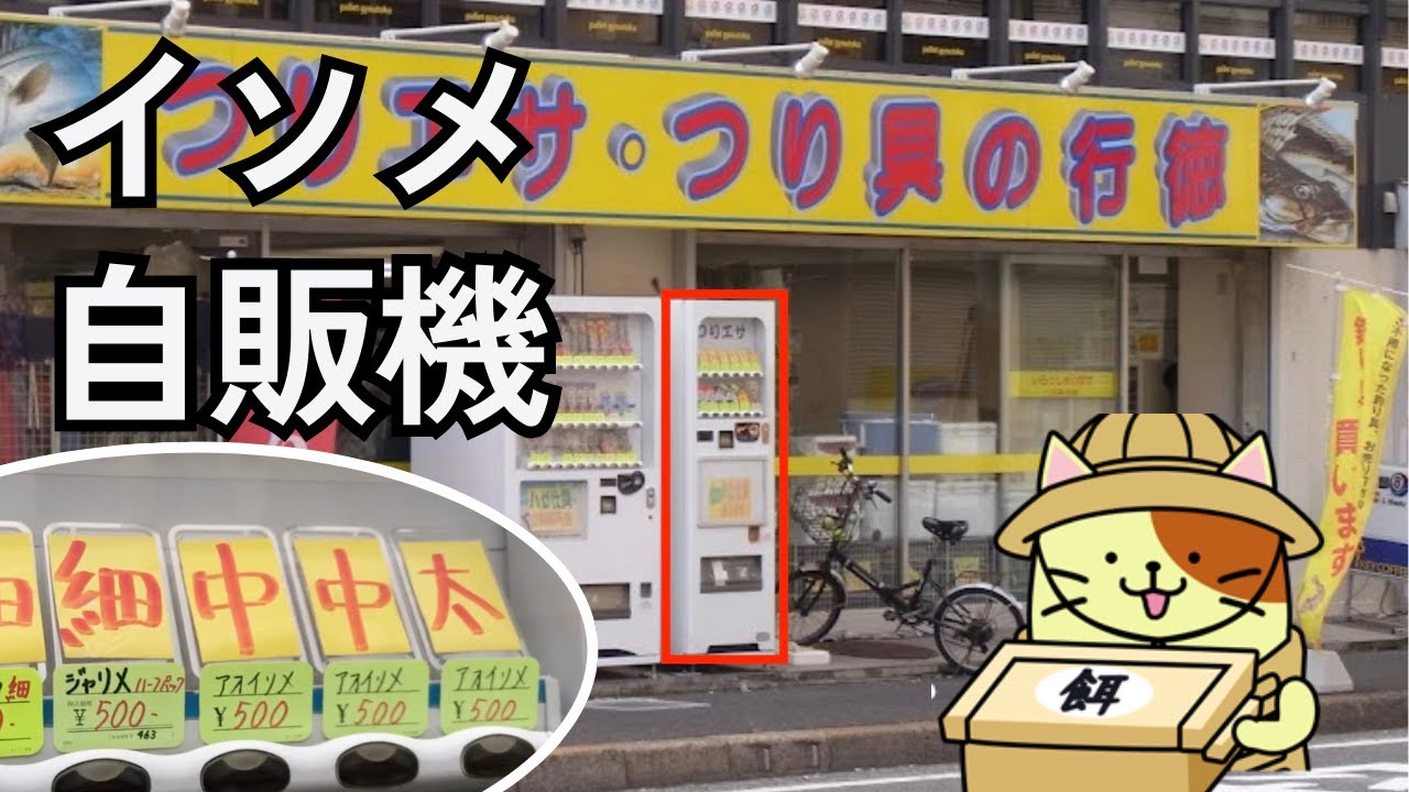 江戸川放水路そばアオイソメ自動販売機がある「釣具の行徳」が超便利