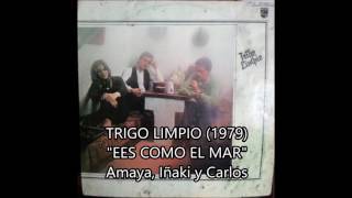 Versión 2 del video