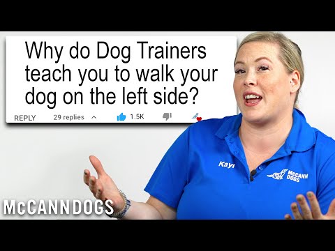 Video: Laufen Sie für eine Sache und beachten Sie Ihre Manieren: Dog Jog Etiquette