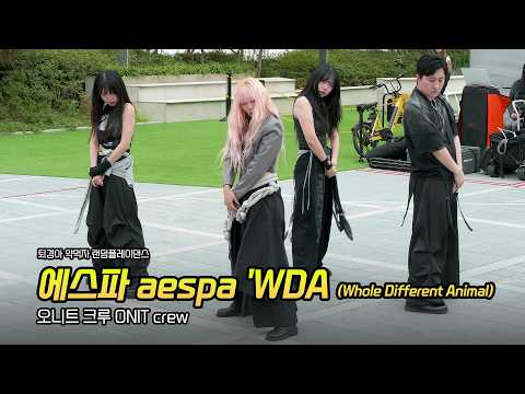 DANCE] 오니트 크루 ONIT crew: 에스파 aespa 'WDA': 퇴경아 약먹자 랜덤플레이댄스 in 강남아이즈: 260912: gotoe RPD